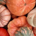 Rainbow pumpkins