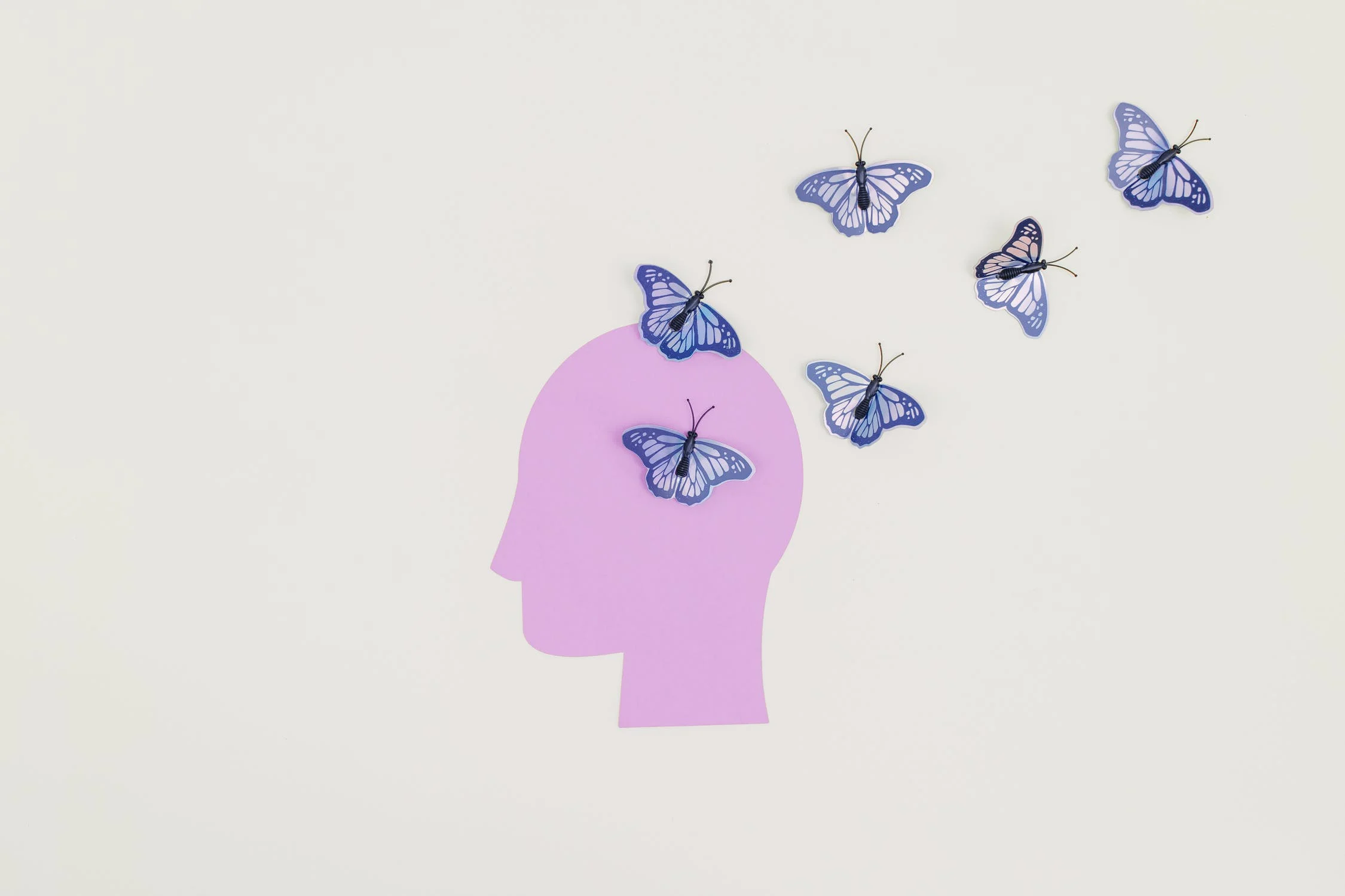 Illustration of a pink head with butterflies flying out of it.