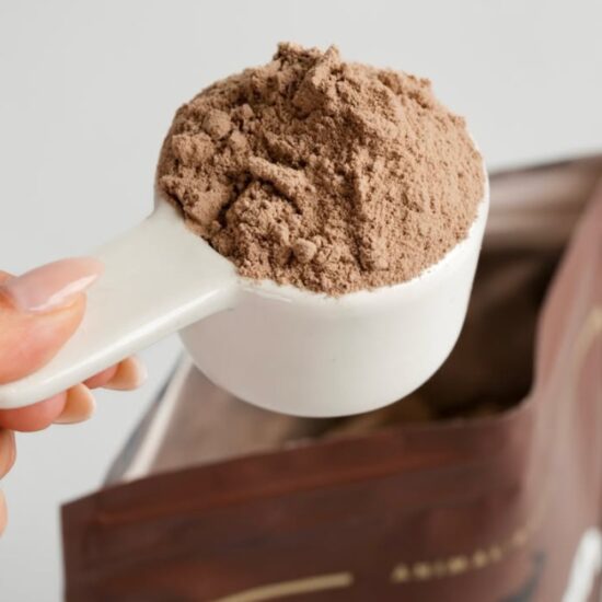 scoop of chocolate protein powder