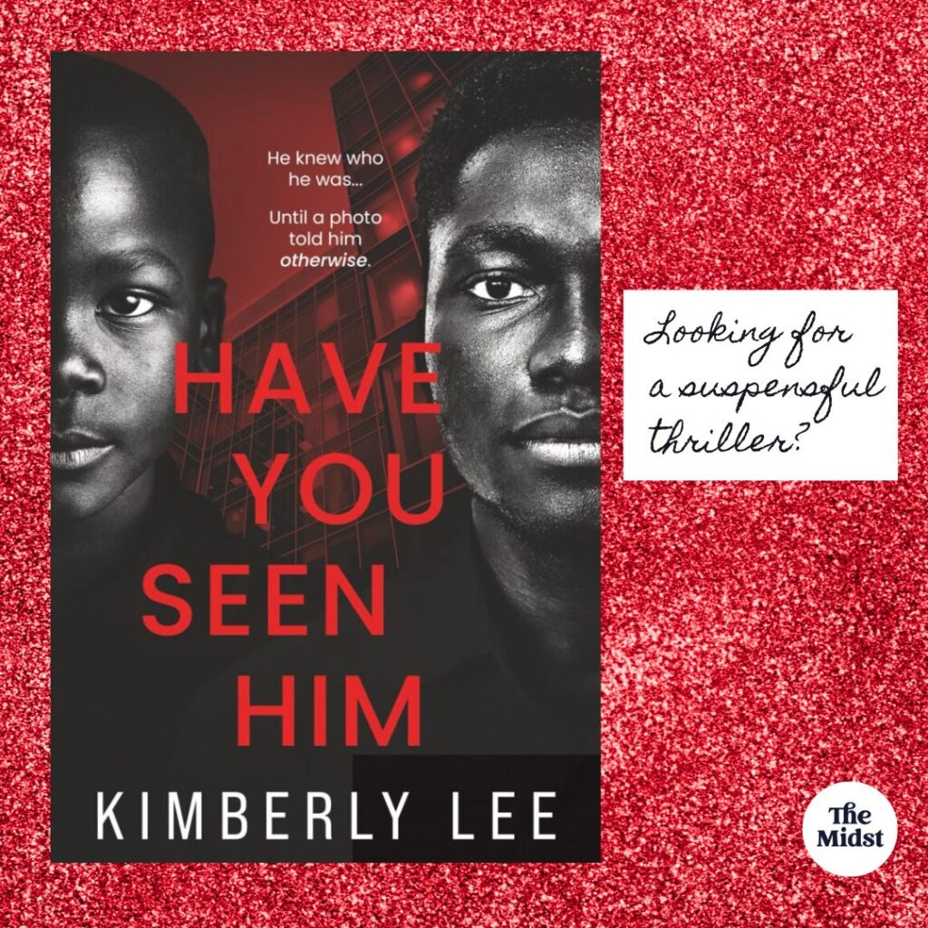 The suspenseful thriller book "Have You Seen Him" by Kimberly Lee