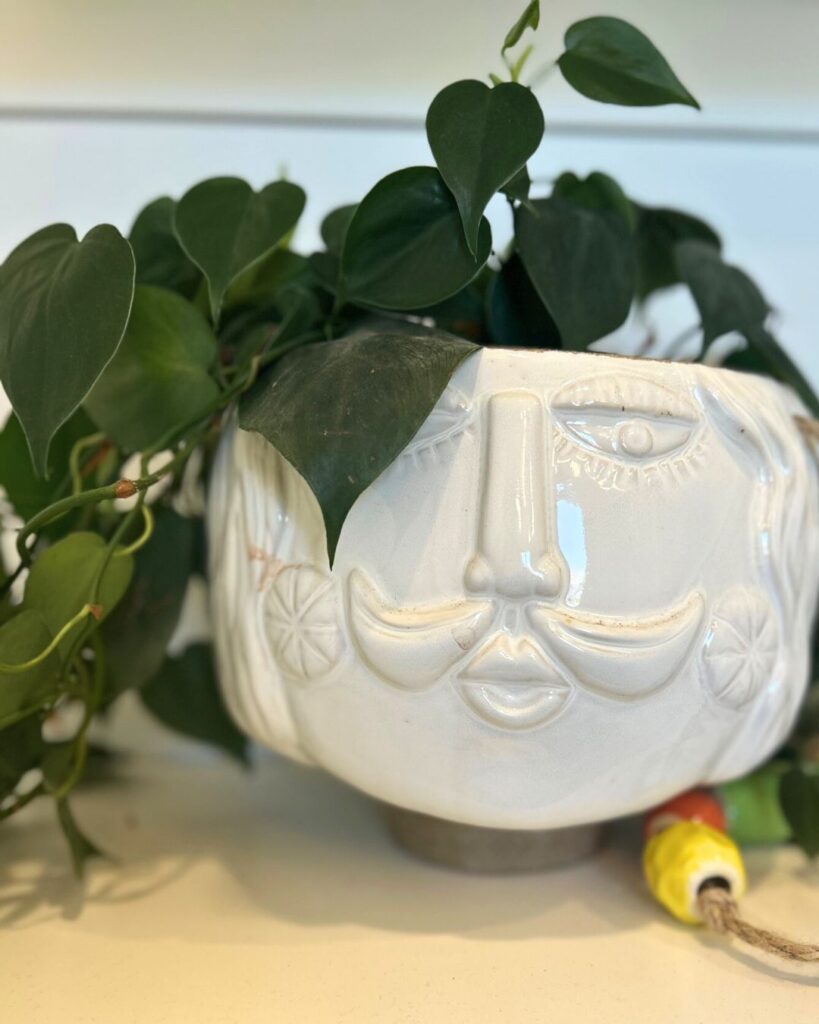 Mustache man face planter