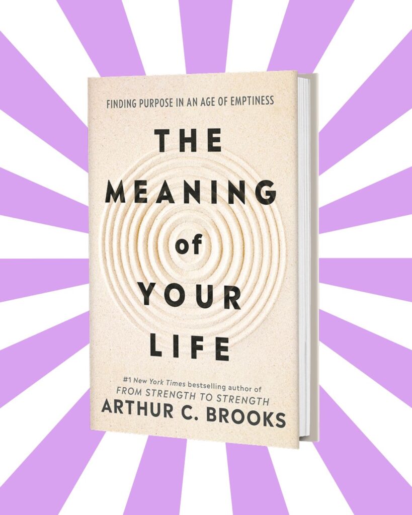 The Meaning of Your Life: Finding Purpose in an Age of Emptiness Hardcover by Arthur C. Brooks