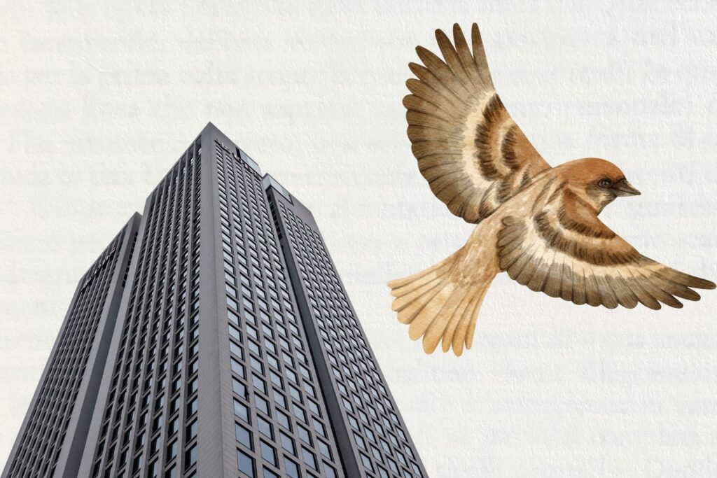 Midst Image Why I quit my C-level job and corporate America for the second time ...