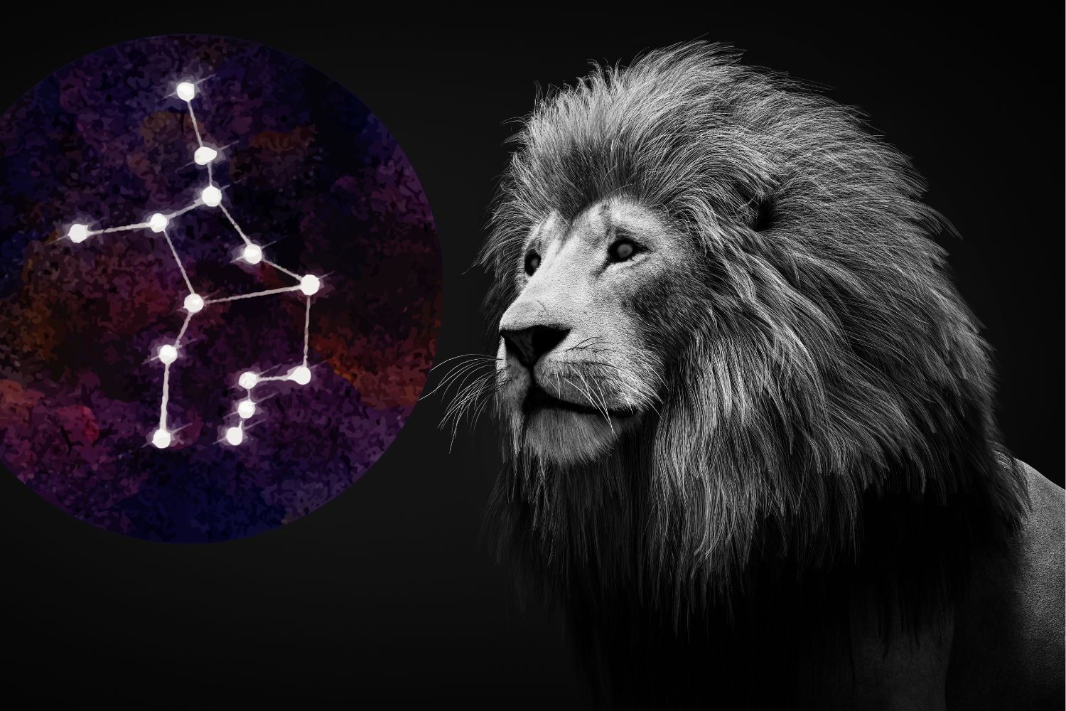 Leo the lion and Virgo star constellation